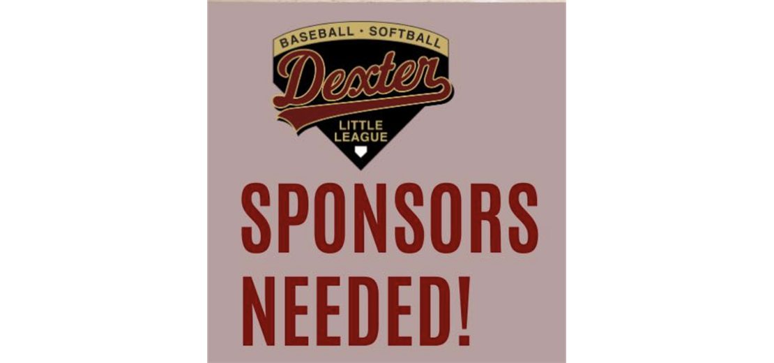 Support a Little League Team
